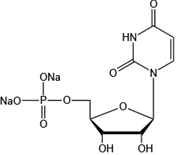 Uridine 5’-monophosphate disodium salt（UMP-Na2）