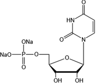 Uridine 5’-monophosphate disodium salt（UMP-Na2）