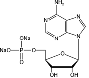 Adenosine 5’-monophosphate disodium salt（AMP-Na2）