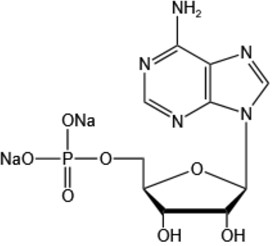 Adenosine 5’-monophosphate disodium salt（AMP-Na2）