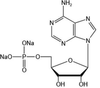 Adenosine 5’-monophosphate disodium salt（AMP-Na2）