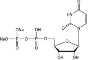 Uridine 5’-diphosphate disodium salt（UDP-Na2）