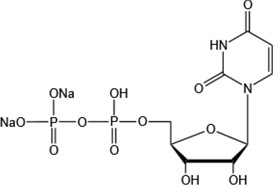 Uridine 5’-diphosphate disodium salt（UDP-Na2）