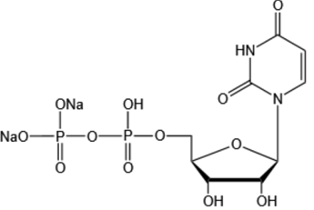 Uridine 5’-diphosphate disodium salt（UDP-Na2）