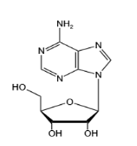 Adenosine（Ar）