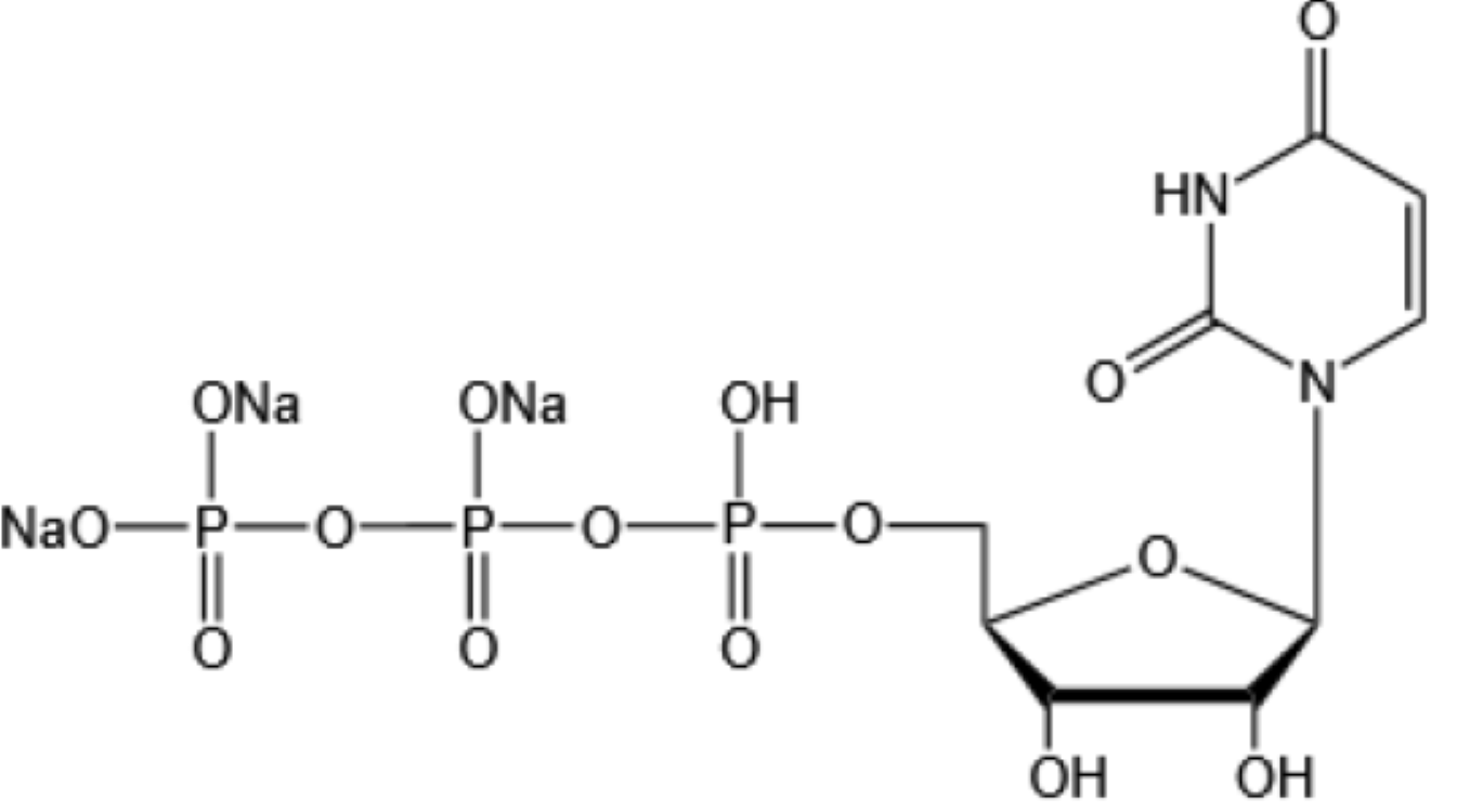 Uridine 5’-triphosphate trisodium salt（UTP-Na3）