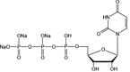Uridine 5’-triphosphate trisodium salt（UTP-Na3）