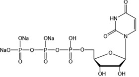 Uridine 5’-triphosphate trisodium salt（UTP-Na3）