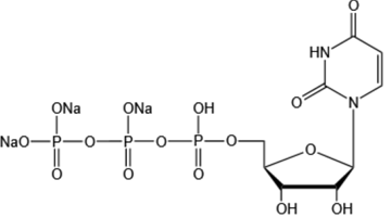 Uridine 5’-triphosphate trisodium salt（UTP-Na3）  
