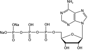 Adenosine 5’-triphosphate disodium salt (ATP-Na2)