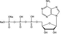 Adenosine 5’-triphosphate disodium salt (ATP-Na2)