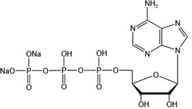 Adenosine 5’-triphosphate disodium salt (ATP-Na2)