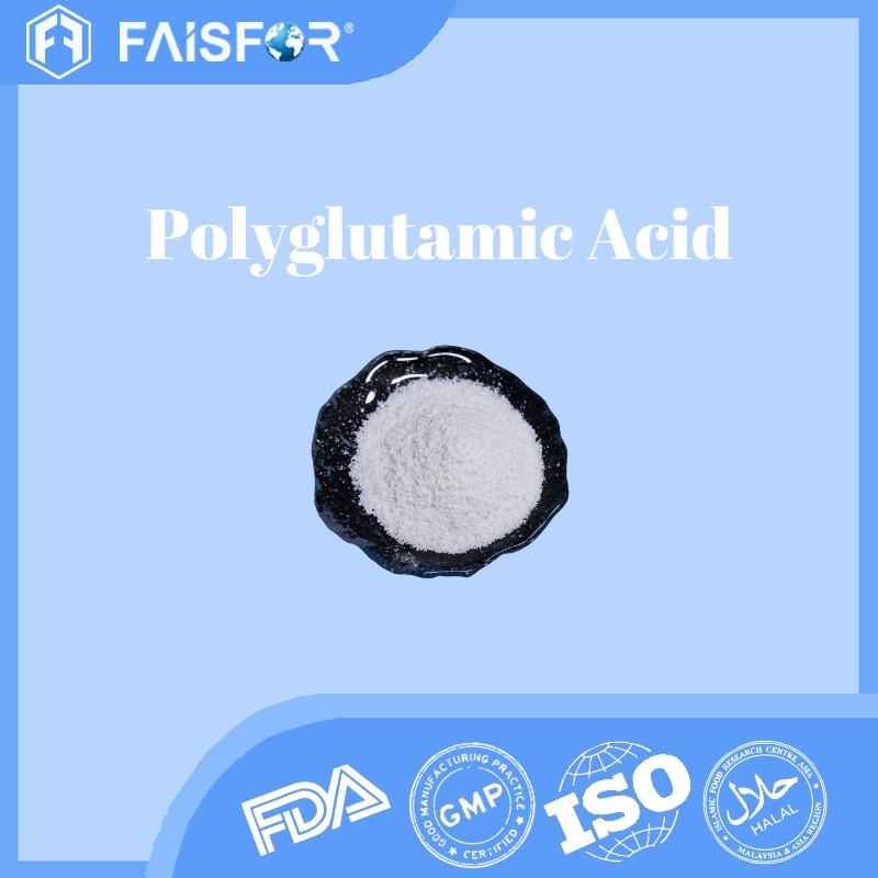 High Quality PGA Polyglutamic Acid polyglutamic acid powder