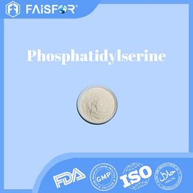 Phosphatidylserine Bulk Purchase for Health and Wellness Industries