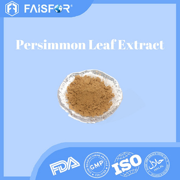 High-Quality Persimmon Leaf Extract for Cosmetic Formulations