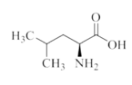L-Leucine