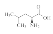 L-Leucine