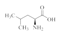 L-Leucine