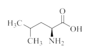 L-Leucine