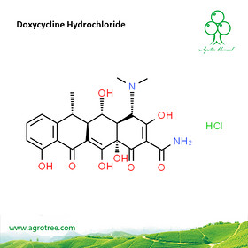 Doxycycline Hydrochloride