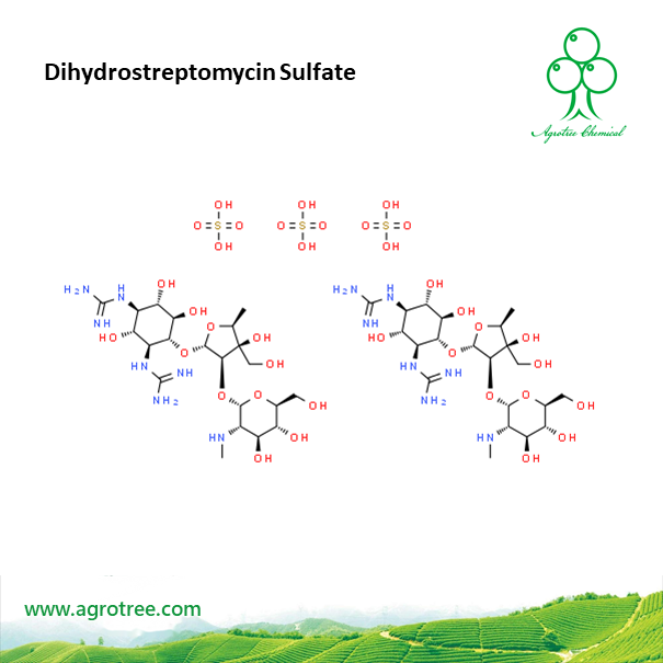 Dihydrostreptomycin Sulfate