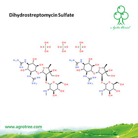 Dihydrostreptomycin Sulfate