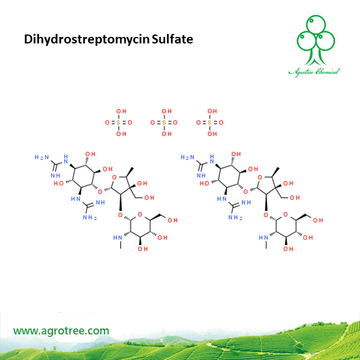 Dihydrostreptomycin Sulfate  
