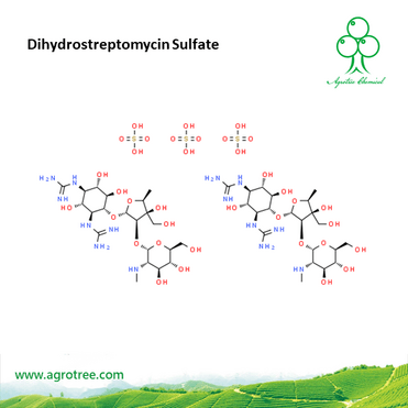 Dihydrostreptomycin Sulfate