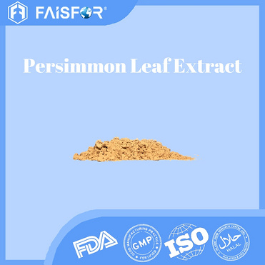 High-Quality Persimmon Leaf Extract for Cosmetic Formulations