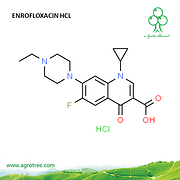Enrofloxacin Hcl
