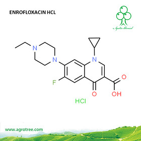 Enrofloxacin Hcl