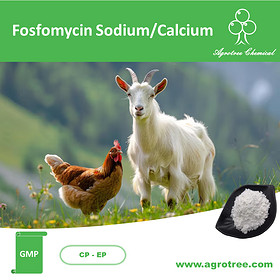 Fosfomycin Sodium/Calcium