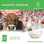 Amoxicillin Trihydrate