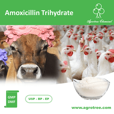 Amoxicillin Trihydrate