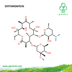 Erythromycin