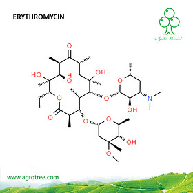 Erythromycin