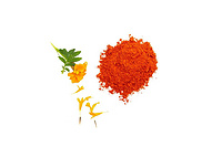Lutein