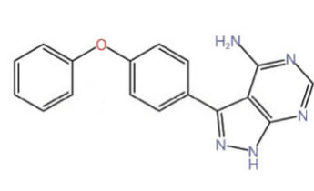 3-(4-Phenoxy phenyl)-1H-pyrazolo[3,4-d]pyrimidin-4 -amine