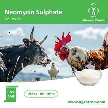 Neomycin Sulphate