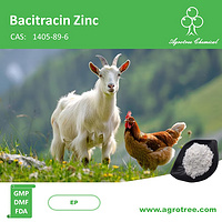 Bacitracin Zinc