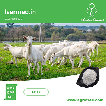 Ivermectin