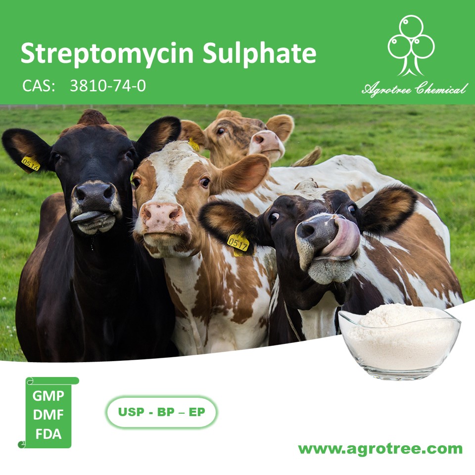 Streptomycin Sulphate