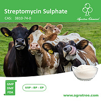 Streptomycin Sulphate