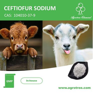 CEFTIOFUR SODIUM