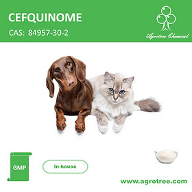 CEFQUINOME