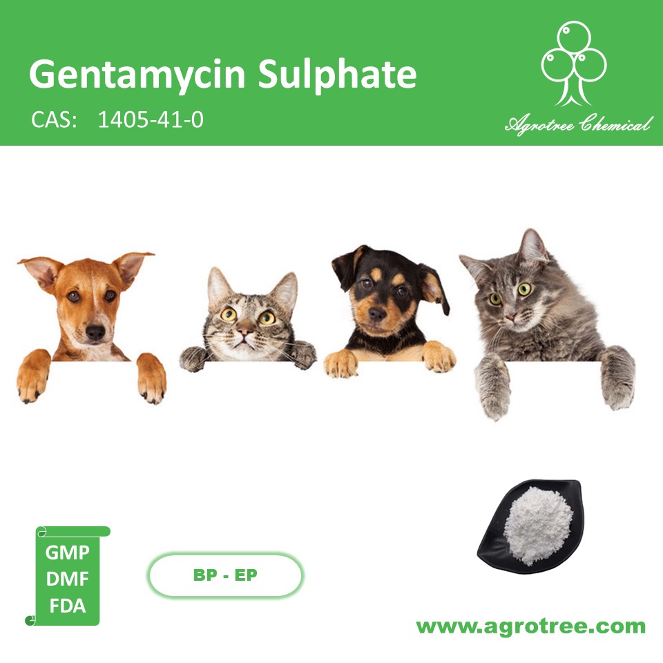 Gentamycin Sulphate