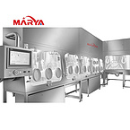 Marya Pharmaceutical Negative Pressure Isolator with Various Materials Transfer Equipment Manufactur