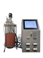 Lab Scale Bioreactor