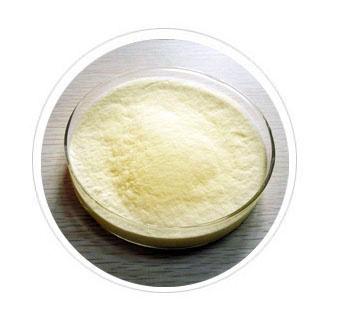 Xanthan Gum  