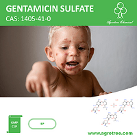 GENTAMICIN SULFATE